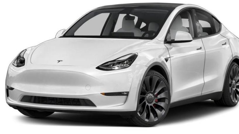 TESLA MODEL Y 2023 7SAYGDEE8PA174050 image